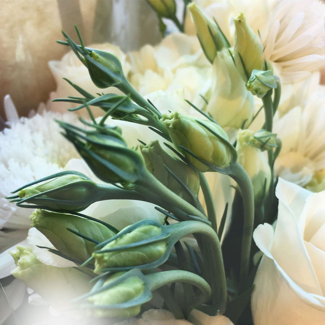 Blooms-Kelly-Stuart-Flowers_027