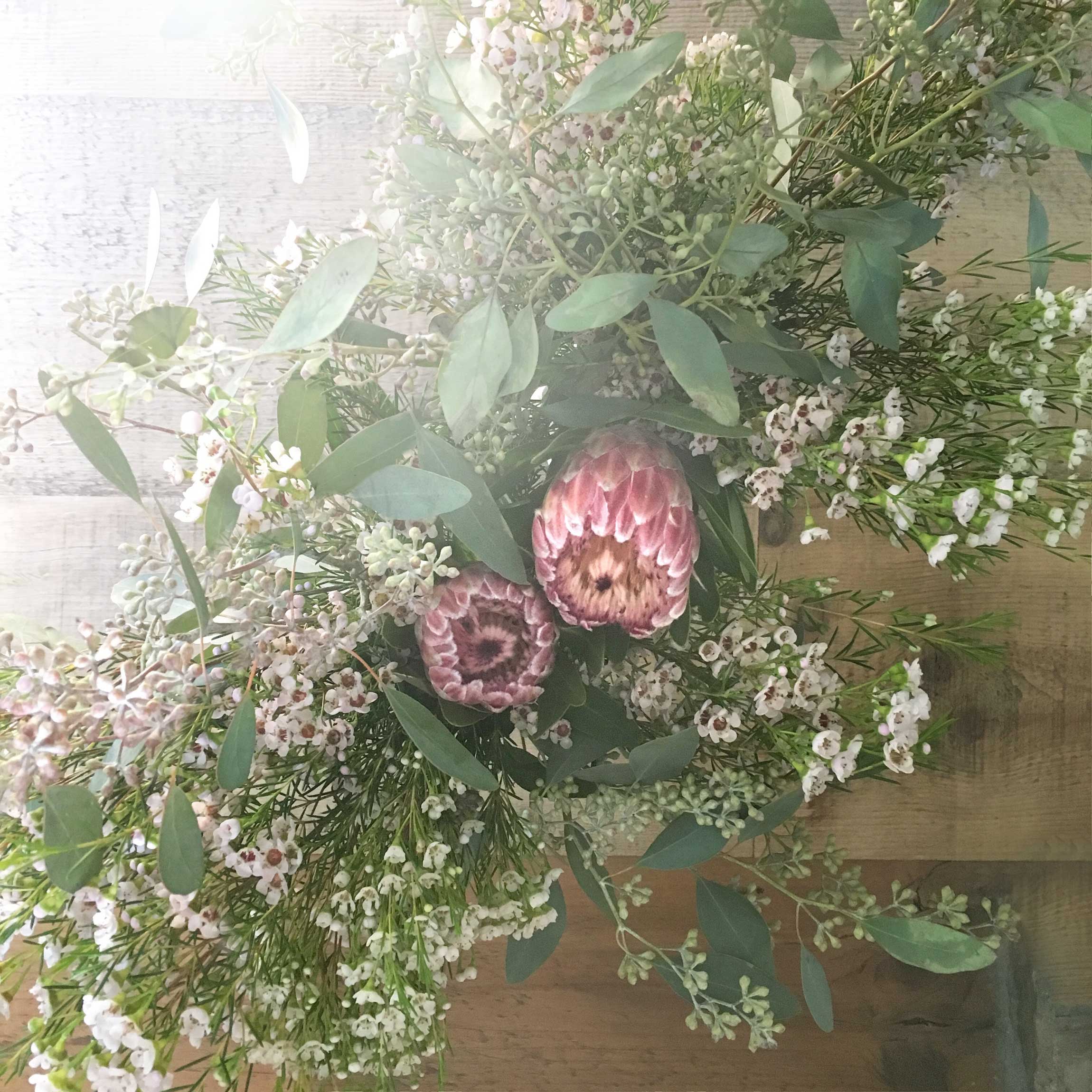Kelly-Stuart-Blooms-